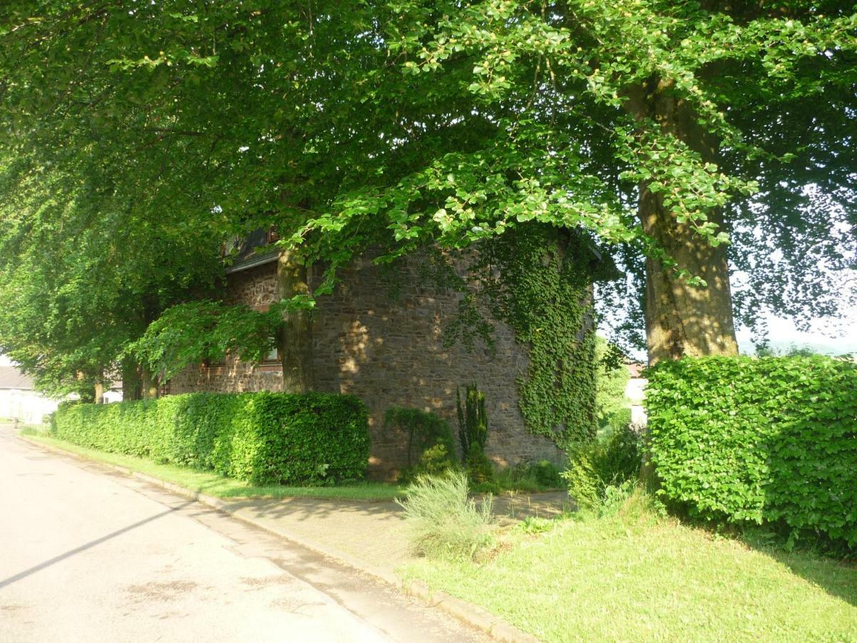 Vila Ferienhaus Gisela Hellenthal Exteriér fotografie