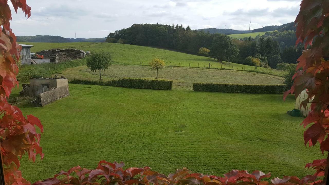 Vila Ferienhaus Gisela Hellenthal Exteriér fotografie