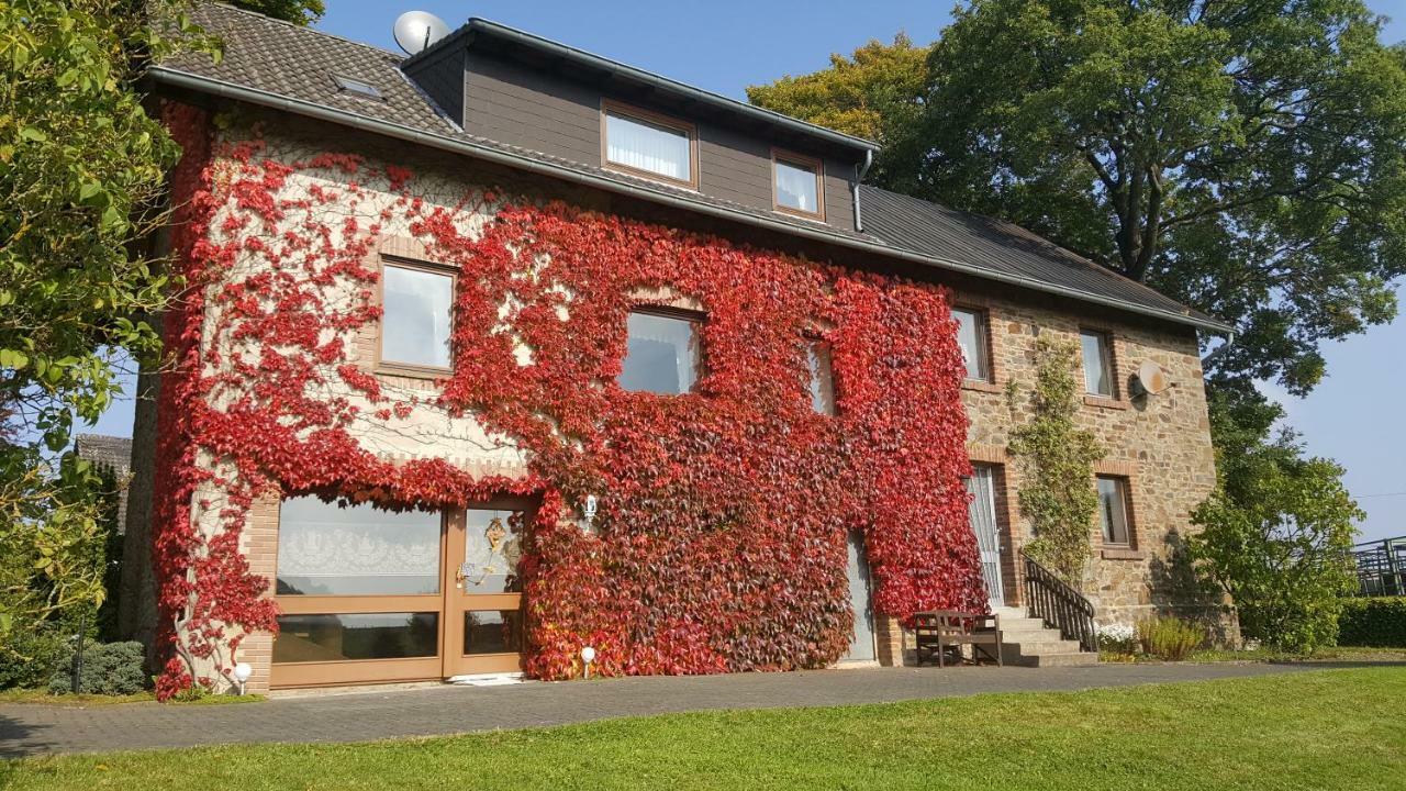 Vila Ferienhaus Gisela Hellenthal Exteriér fotografie