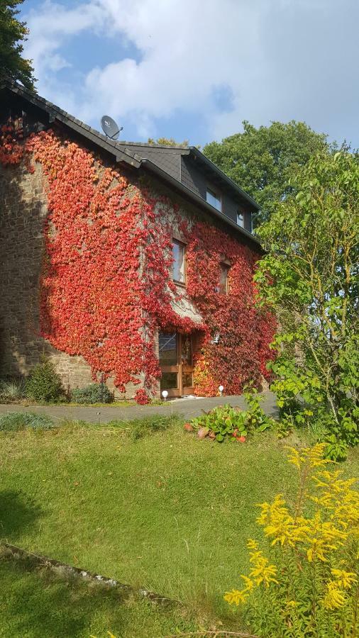 Vila Ferienhaus Gisela Hellenthal Exteriér fotografie